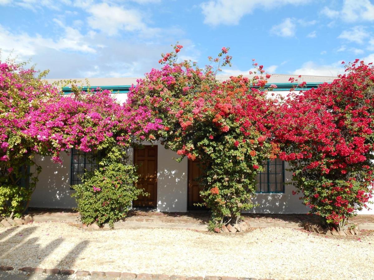 Obesa Lodge กราฟฟ์-เรเน็ต ภายนอก รูปภาพ